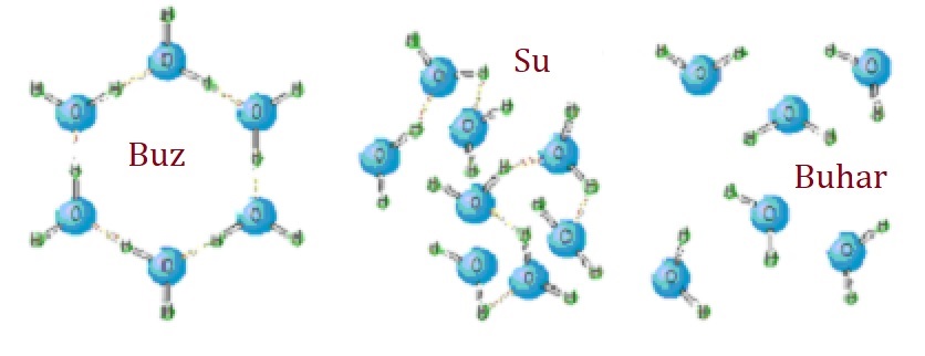 Su molekülü ve bağlar